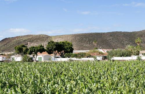 Caserío de Guaza - Foto 29