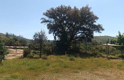 Quinta D' LuzArcoIris - Foto 46