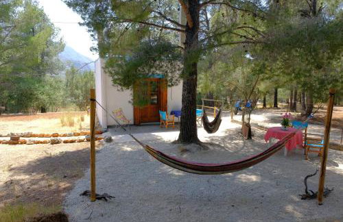 little house in forest - Foto 9