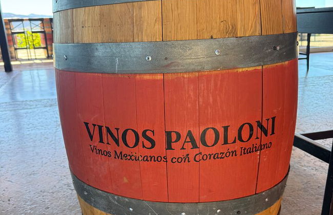Private Deluxe Wine Tour to Valle de Guadalupe by Luxury Vehicle - Photo 46