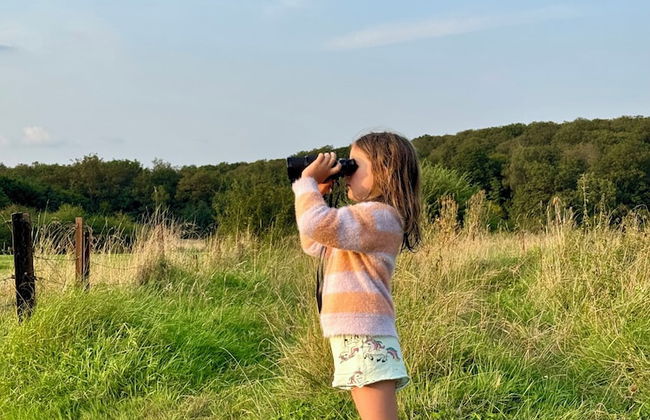 la maison dans les bois - Foto 13