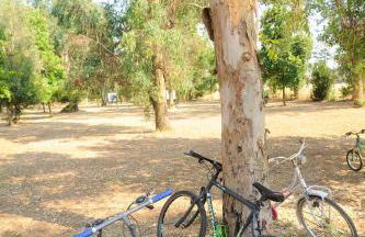 Agriturismo La Giannottola - Foto 17