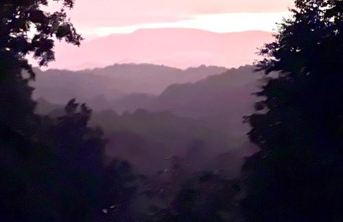 Treehouse Retreat - Foto 65