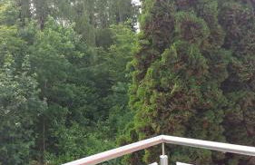 Ferienwohnung Giovanni - Foto 37