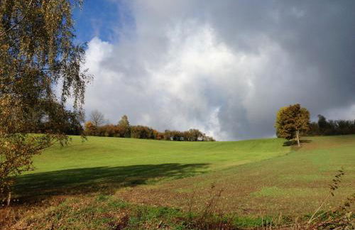 Ferienhaus in Tannesberg for 4 Personen - Foto 19