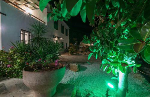 Dekem Residence - Foto 5