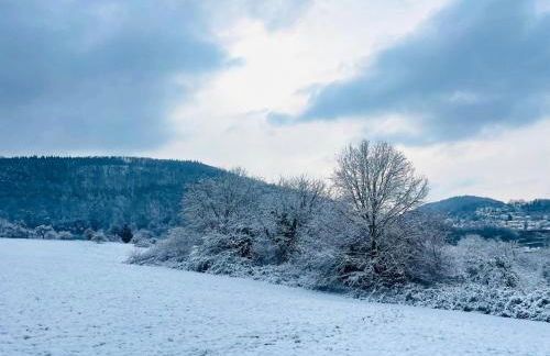 Ein Traum am Waldrand - Foto 23