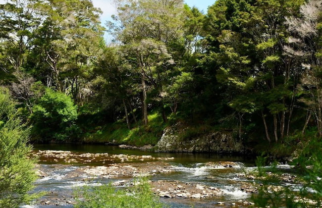 Bay of Islands Holiday Park - Foto 53