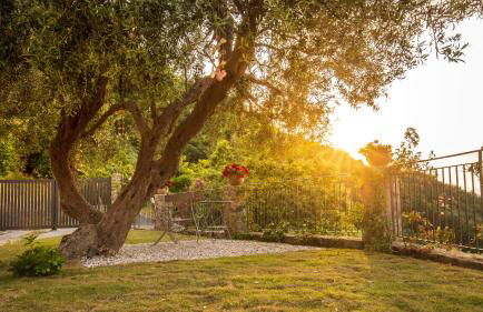 Residence Mersa - Foto 20