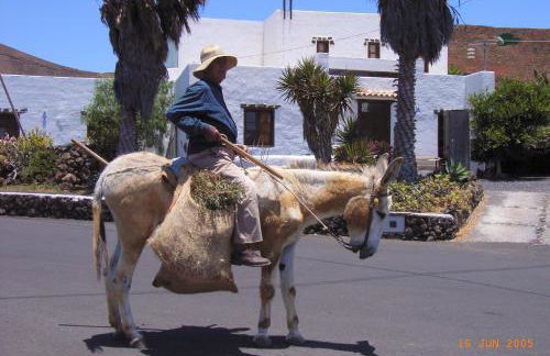 Finca Lanzarosy - Foto 1