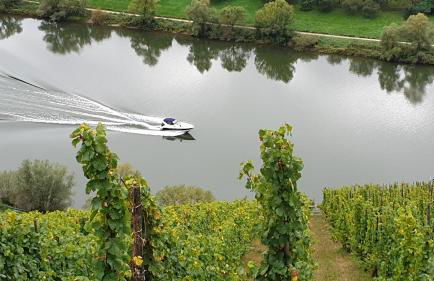 Moselanker de in Enkirch Mosel - Foto 56