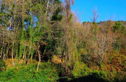 Elementi TERRA - Photo 18