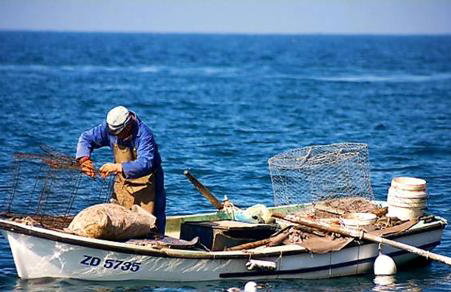 Villa Puntina, Bibinje - Foto 57