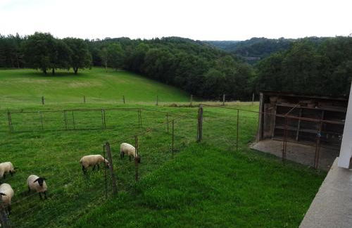 Les hirondelles de montsec - Foto 9