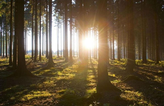 Holiday Home Bestwig Near Ski Lift - Foto 34