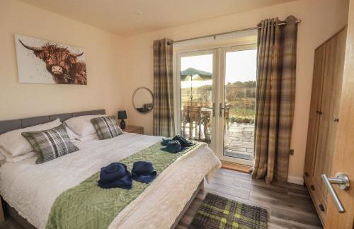 Red Squirrel - Foto 21