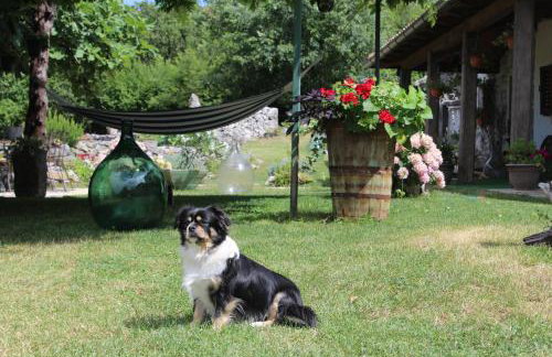 Villa Mavrici, Nature Paradise with pool - Foto 37