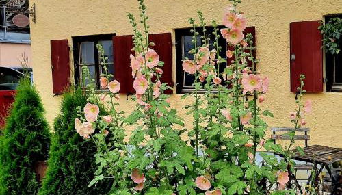 Nette's Ferienhaus - Foto 3