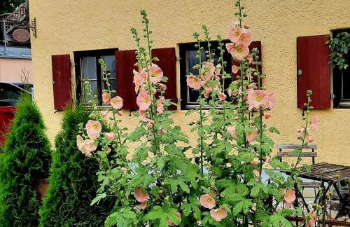 Nette's Ferienhaus - Foto 3