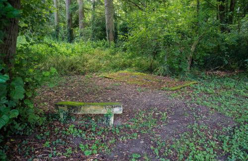 LE MANOIR PARADI - Foto 28