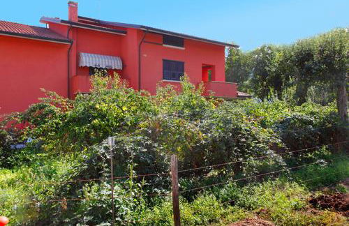 Azienda Agrituristica Pericle - Foto 43