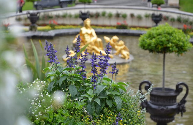 Palacio Linderhof, Oberammergau + Ettal desde Innsbruck, privat Tour - Foto 4