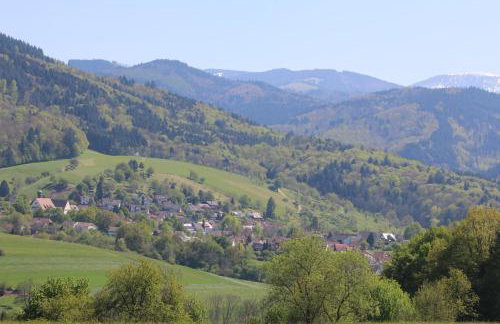 Familien-Appartement Schwarzwald bei Freiburg mit bis zu 4 Schlafzimmern - Foto 75