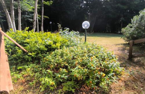 Dima Home Campo di Giove - Foto 17