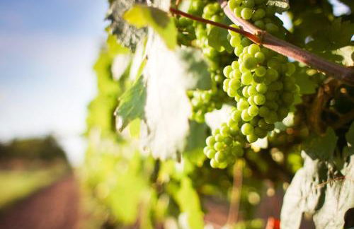 3-Zimmer Haus 85qm mit Balkon bis zu 8 Personen - Foto 1