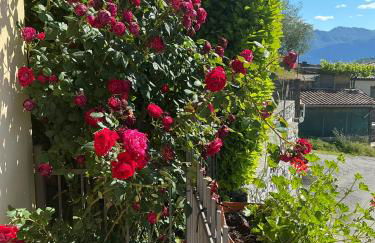Colonno Panoramica Lago Di Como - Foto 17