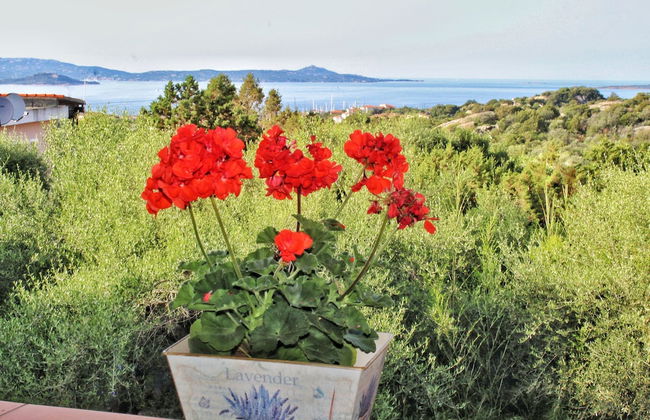 Porto Rotondo Garden Flats - Foto 35