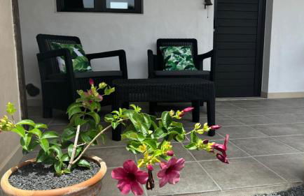 Mardelava - Photo 29