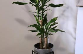 Apartment Gago - Photo 42