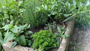 Haus Sengbach im Bergischen Land mit 2 Schlafzimmern - Foto 2, Garden view