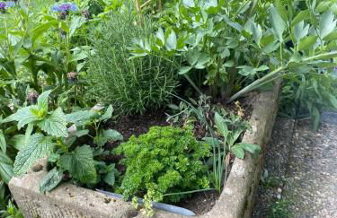 Haus Sengbach im Bergischen Land mit 2 Schlafzimmern - Foto 2