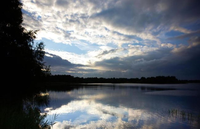 Getaway With Garden in Gelderland - Foto 38