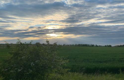 Landidyll - Bauernhaus Ländchen Bellin - Photo 47