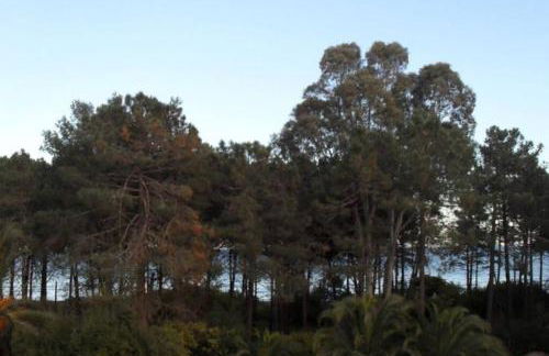 Appartement 8 pers. - Domaine de Padulone ALERIA - Foto 16