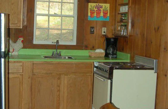 The Cabins at Healing Springs - Foto 7