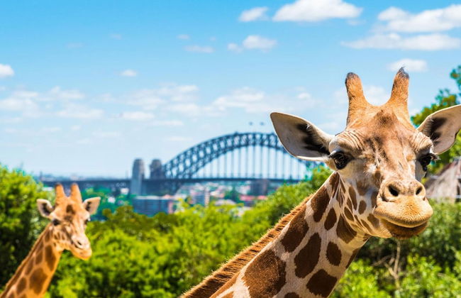 Park Regis Concierge Apartments - Foto 79