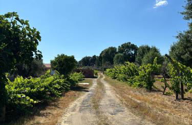 Casa Cabeço do Barragão - Photo 40