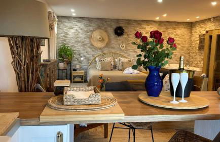 Loft sauna balnéothérapie - Foto 59