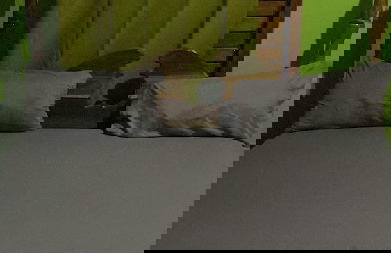 Deano's Cottages - Photo 21