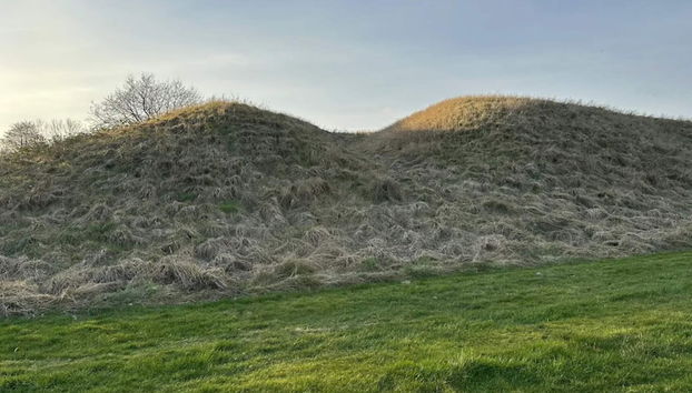 4 Person Holiday Home in Silkeborg-by Traum - Photo 4