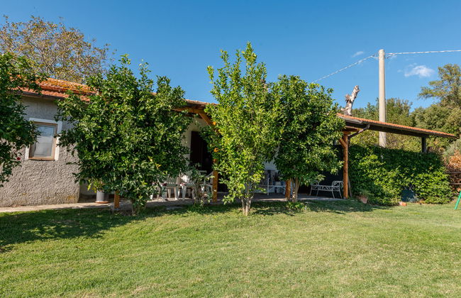 Country House - Foto 22