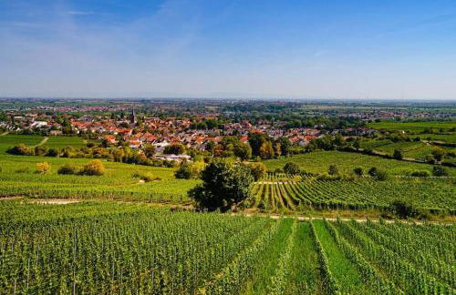 Unter den Reben - Foto 20