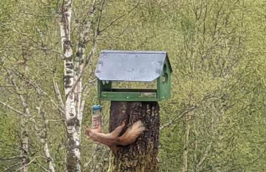 Faichemard Farm Chalets - Foto 13