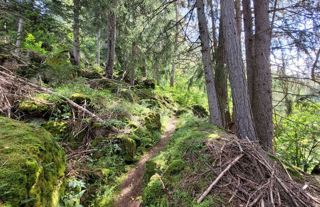 Lieblingsplatz - Foto 27