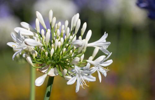 relaxing holiday in Sardinia - Matafaluga apartment - Foto 36