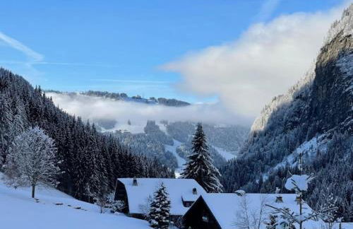 Chalet Les Lanchettes - Foto 19